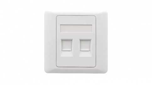 FP2 Face Plate 2 port