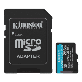 SDCG4/256GB Memory card - Micro SD 256GB