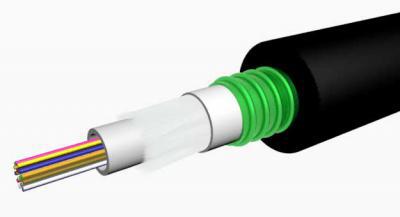 Primary product image