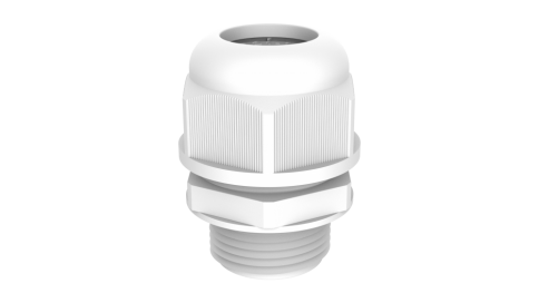 Primary product image